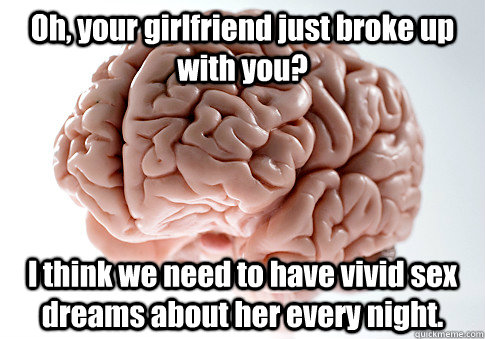 Oh, your girlfriend just broke up with you? I think we need to have vivid sex dreams about her every night.   Scumbag Brain