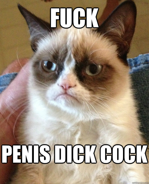 Fuck Penis dick cock  Grumpy Cat