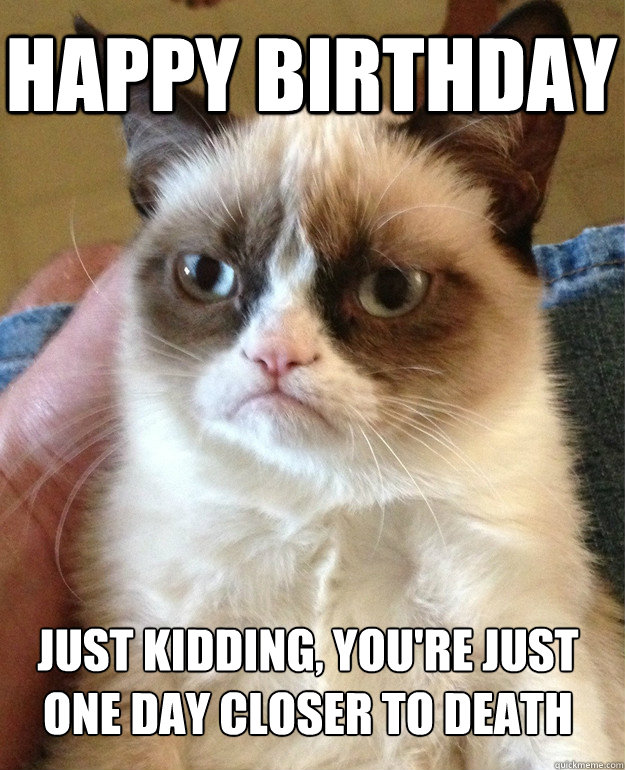 happy birthday just kidding, you're just one day closer to death - happy birthday just kidding, you're just one day closer to death  Grumpy Cat