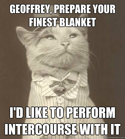 Geoffrey, prepare your finest blanket I'd like to perform intercourse with it  Aristocat