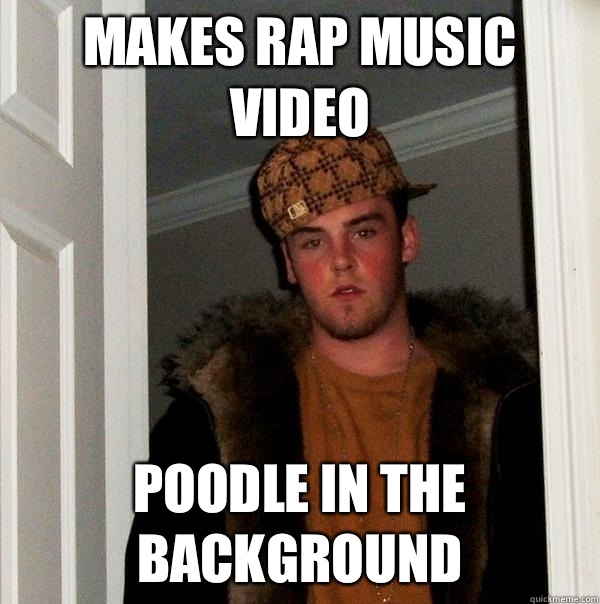 Makes rap music video Poodle in the background  Scumbag Steve