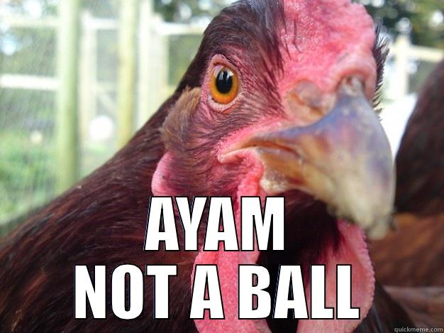  AYAM NOT A BALL Misc