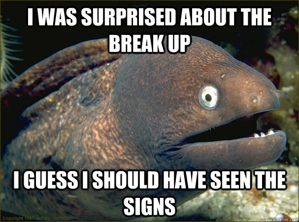 I was surprised about the break up I guess i should have seen the signs - I was surprised about the break up I guess i should have seen the signs  Bad Joke Eel