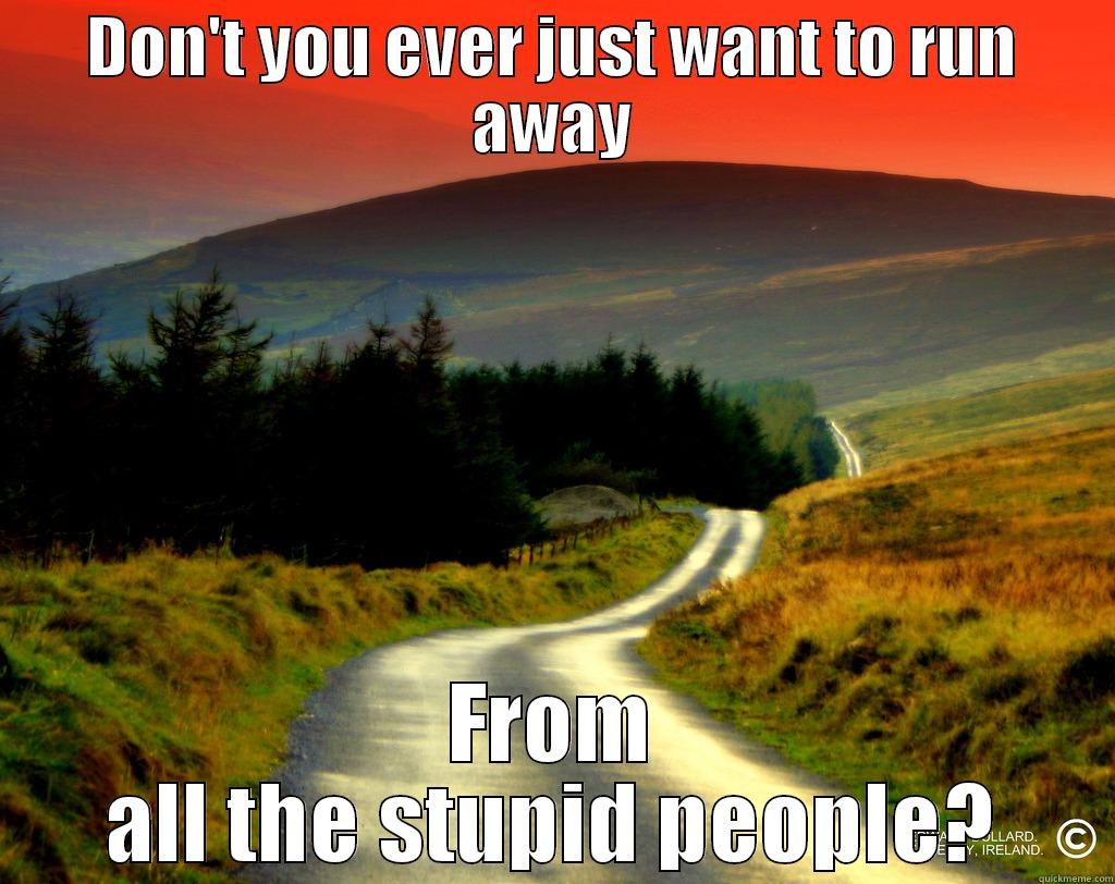 Winding Road - DON'T YOU EVER JUST WANT TO RUN AWAY FROM ALL THE STUPID PEOPLE? Misc