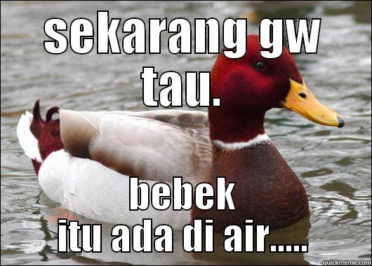 SEKARANG GW TAU. BEBEK ITU ADA DI AIR..... Malicious Advice Mallard