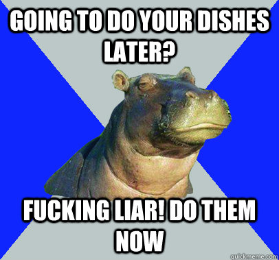 Going to do your dishes later? Fucking LIAR! Do them now - Going to do your dishes later? Fucking LIAR! Do them now  Skeptical Hippo