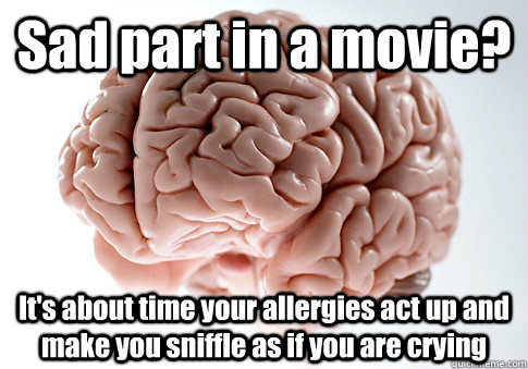 Sad part in a movie? It's about time your allergies act up and make you sniffle as if you are crying   Scumbag Brain