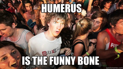 humerus is the funny bone - humerus is the funny bone  Sudden Clarity Clarence