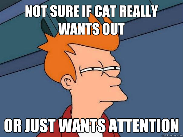 Not sure if cat really wants out or just wants attention - Not sure if cat really wants out or just wants attention  Futurama Fry