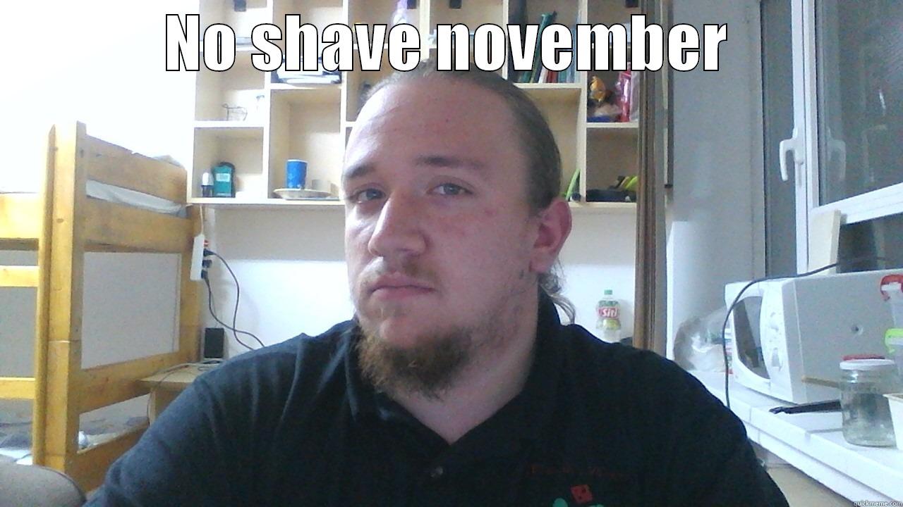 part 1 - NO SHAVE NOVEMBER  Misc