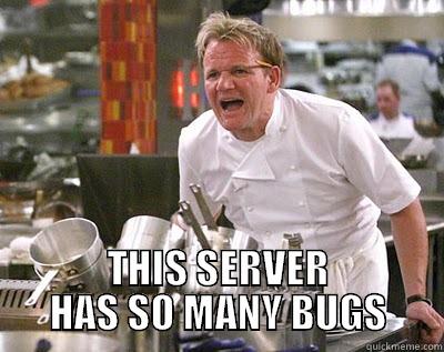  THIS SERVER HAS SO MANY BUGS Chef Ramsay