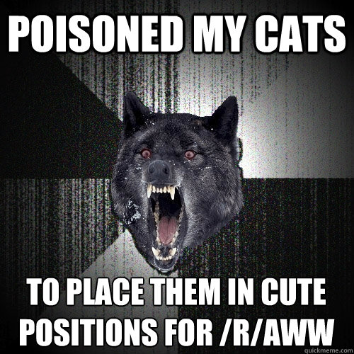 Poisoned my cats  to place them in cute positions for /r/aww - Poisoned my cats  to place them in cute positions for /r/aww  Insanity Wolf