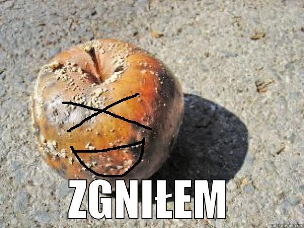  ZGNIŁEM Misc