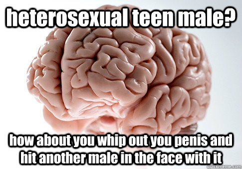 heterosexual teen male?  how about you whip out you penis and hit another male in the face with it     Scumbag Brain