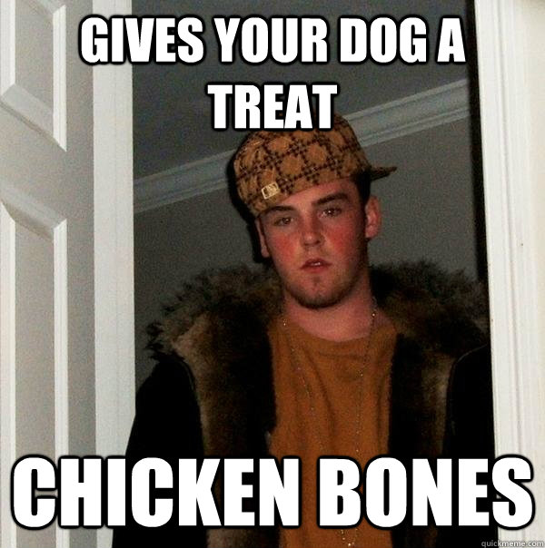 Gives your dog a treat Chicken bones  Scumbag Steve