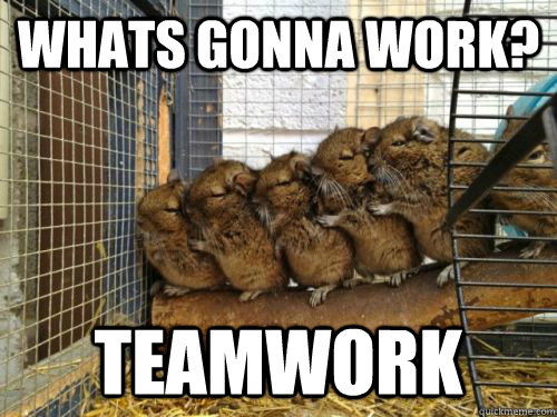 whats gonna work? teamwork - whats gonna work? teamwork  Helpful Hamsters