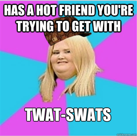 Has a hot friend you're trying to get with  Twat-swats  scumbag fat girl