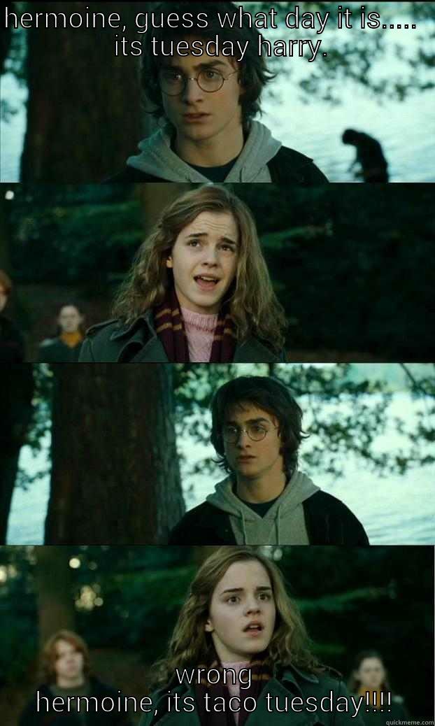 HERMOINE, GUESS WHAT DAY IT IS.....    ITS TUESDAY HARRY. WRONG HERMOINE, ITS TACO TUESDAY!!!! Horny Harry