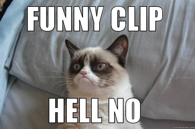 Hell no - FUNNY CLIP HELL NO Grumpy Cat