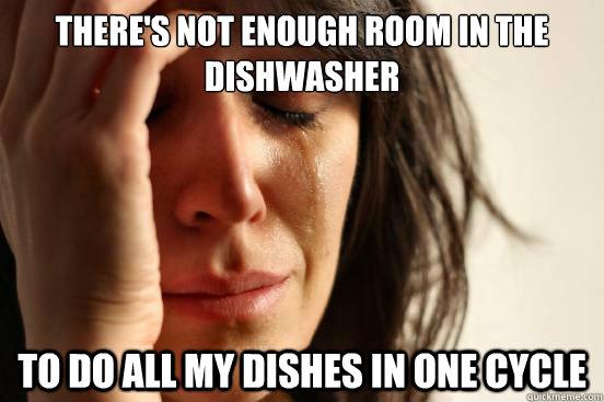 there's not enough room in the dishwasher to do all my dishes in one cycle - there's not enough room in the dishwasher to do all my dishes in one cycle  First World Problems