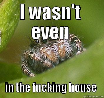 I WASN'T EVEN IN THE FUCKING HOUSE Misunderstood Spider