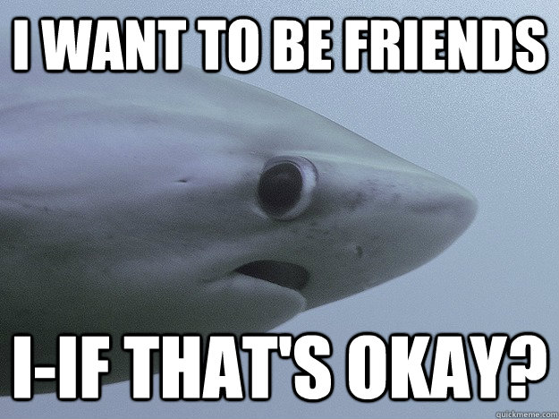 I want to be friends I-if that's okay?  Shy Shark