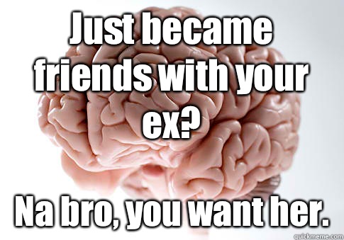 Just became friends with your ex? Na bro, you want her.   Scumbag Brain