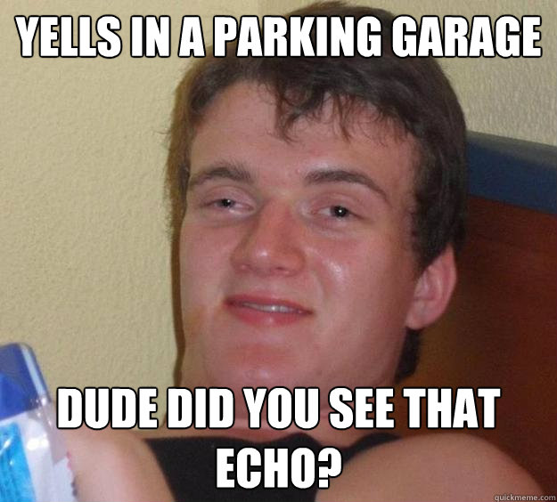 Yells in a parking garage Dude did you see that echo? - Yells in a parking garage Dude did you see that echo?  10 Guy