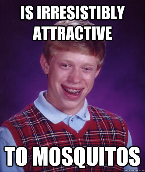 Is irresistibly attractive to mosquitos - Is irresistibly attractive to mosquitos  Bad Luck Brian