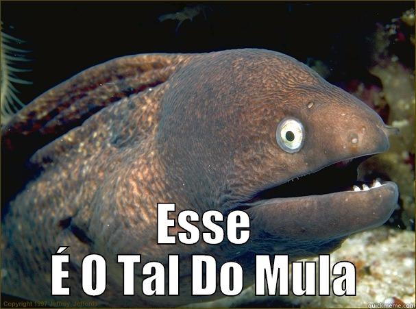  ESSE É O TAL DO MULA Bad Joke Eel