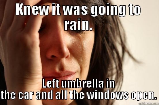 KNEW IT WAS GOING TO RAIN. LEFT UMBRELLA IN THE CAR AND ALL THE WINDOWS OPEN. First World Problems