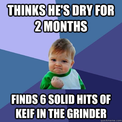 Thinks He's dry for 2 months Finds 6 solid hits of keif in the grinder - Thinks He's dry for 2 months Finds 6 solid hits of keif in the grinder  Success Kid