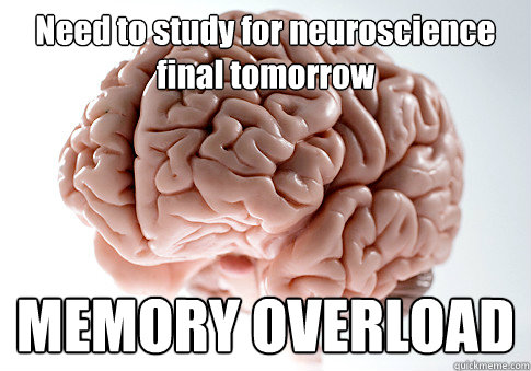 Need to study for neuroscience final tomorrow MEMORY OVERLOAD  - Need to study for neuroscience final tomorrow MEMORY OVERLOAD   Scumbag Brain