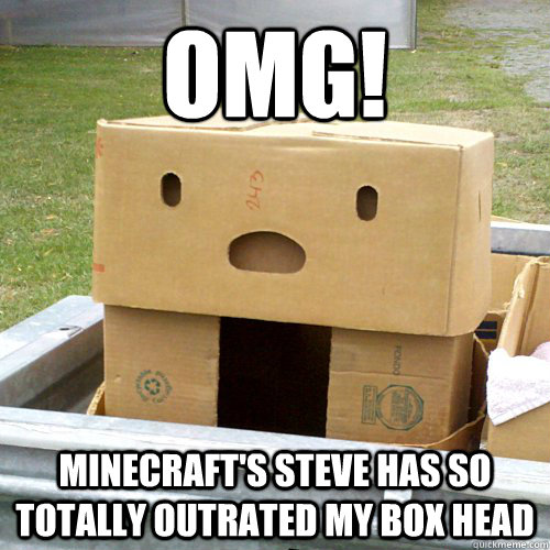 Omg!  minecraft's steve has so totally outrated my box head - Omg!  minecraft's steve has so totally outrated my box head  Disappointed Cardboard Box