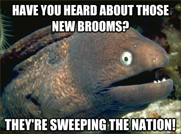 Have you heard about those new brooms? They're sweeping the nation!  Bad Joke Eel