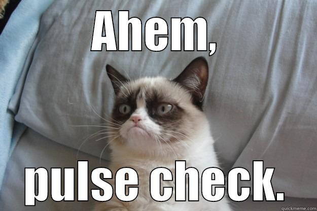 AHEM, PULSE CHECK. Grumpy Cat