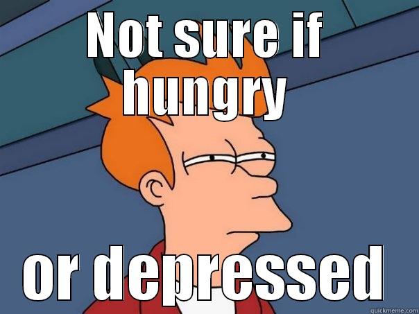 NOT SURE IF HUNGRY OR DEPRESSED Futurama Fry