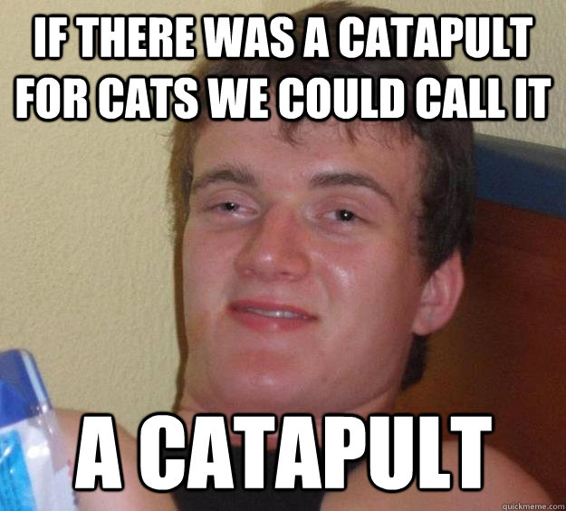 If there was a catapult for cats we could call it a catapult  10 Guy