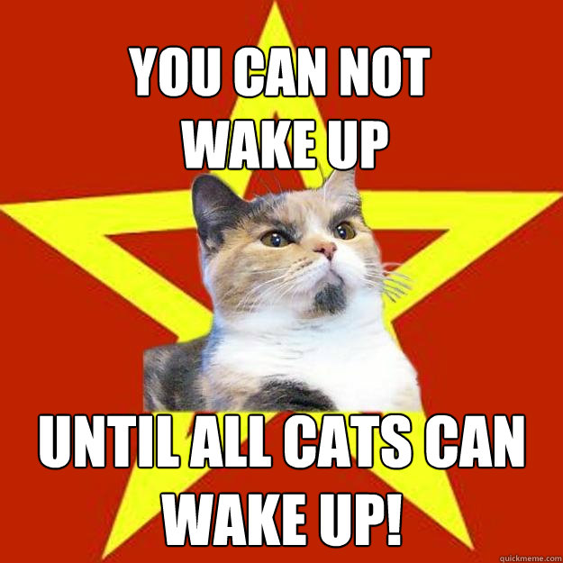 YOu can not
 wake up Until all cats can wake up!  Lenin Cat