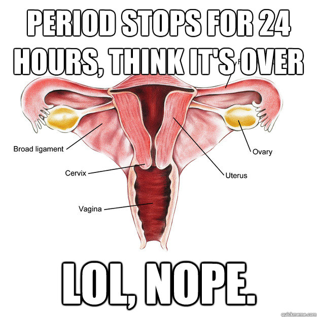 Period stops for 24 hours, think it's over Lol, nope.  Scumbag Uterus