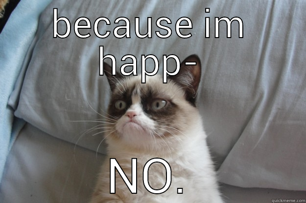 BECAUSE IM HAPP- NO. Grumpy Cat