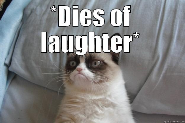 i truely dies - *DIES OF LAUGHTER*  Grumpy Cat