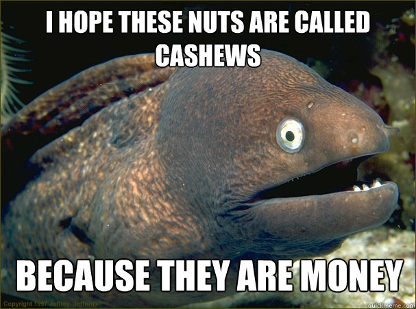 i hope these nuts are called cashews because they are money - i hope these nuts are called cashews because they are money  Bad Joke Eel