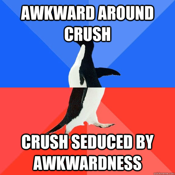 Awkward around crush  crush seduced by awkwardness - Awkward around crush  crush seduced by awkwardness  Socially Awkward Awesome Penguin