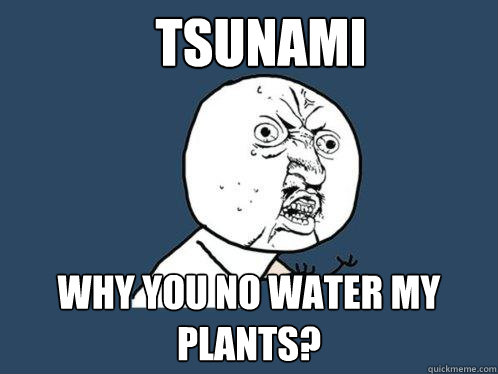 Tsunami why you no water my plants? - Tsunami why you no water my plants?  Y U No