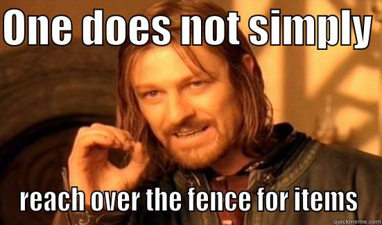 ONE DOES NOT SIMPLY  REACH OVER THE FENCE FOR ITEMS Boromir