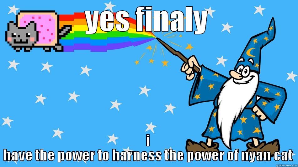 YES FINALY I HAVE THE POWER TO HARNESS THE POWER OF NYAN CAT Misc