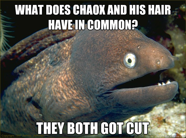 What does Chaox and his hair have in common? They both got cut - What does Chaox and his hair have in common? They both got cut  Bad Joke Eel