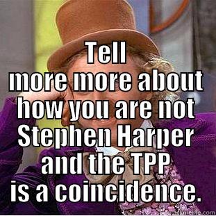  TELL MORE MORE ABOUT HOW YOU ARE NOT STEPHEN HARPER AND THE TPP IS A COINCIDENCE. Condescending Wonka