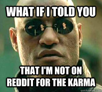 WHAT IF I TOLD YOU That I'm not on reddit for the karma   What if I told you